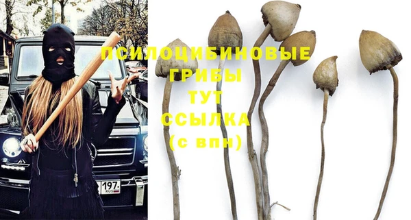 скорость Балахна