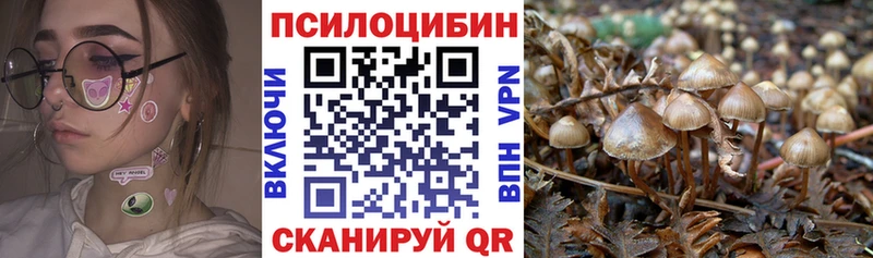 купить наркотик  Верхний Уфалей  Псилоцибиновые грибы Magic Shrooms 